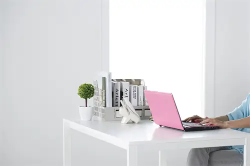 动物奶油哪个牌子好