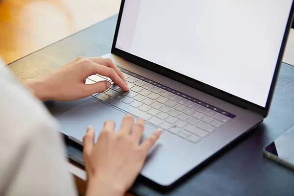 美食蒸鲈鱼做法视频