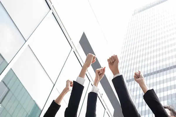 玉兔菜燕做法美食